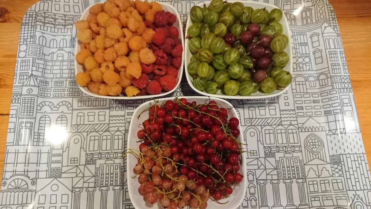 Garden Mellan Slotten Svarte Dış mekan fotoğraf