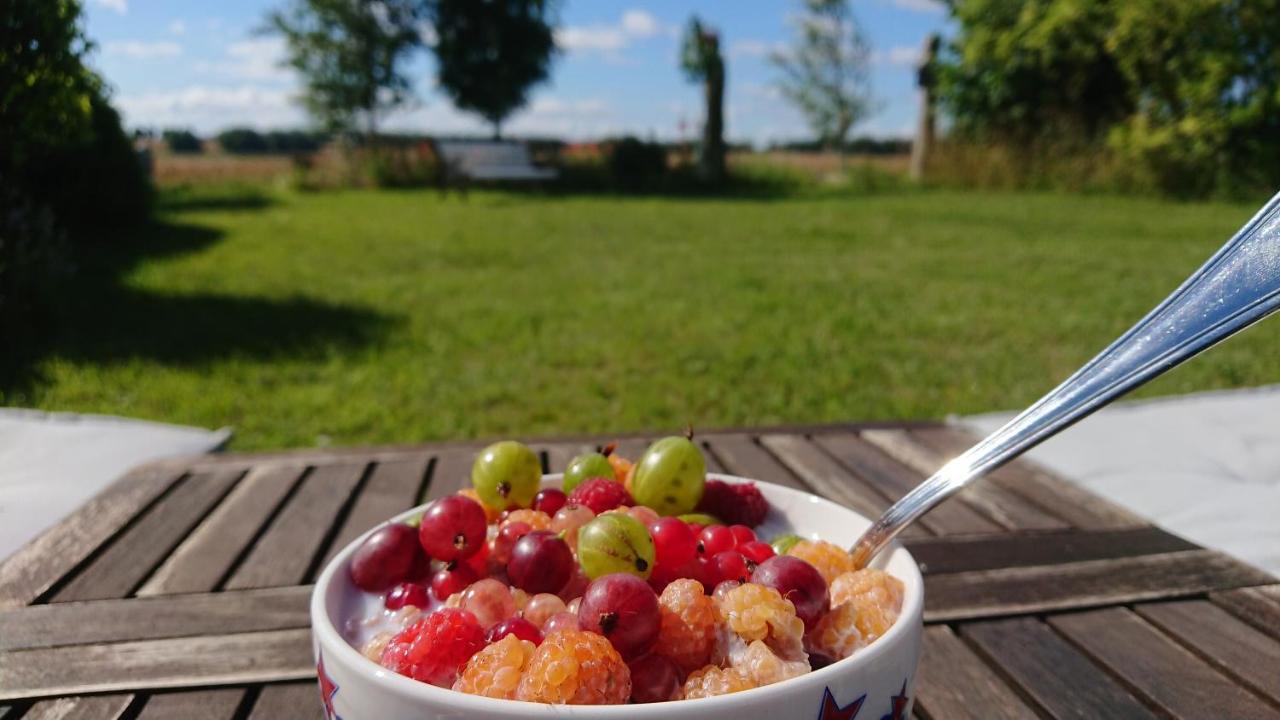 Garden Mellan Slotten Svarte Dış mekan fotoğraf