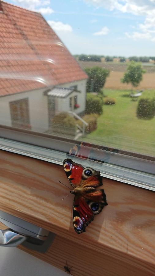 Garden Mellan Slotten Svarte Dış mekan fotoğraf