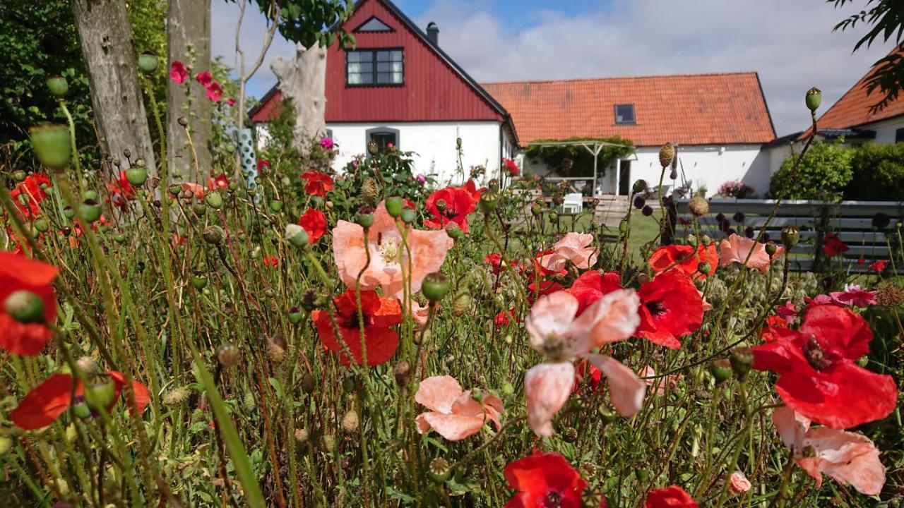 Garden Mellan Slotten Svarte Dış mekan fotoğraf