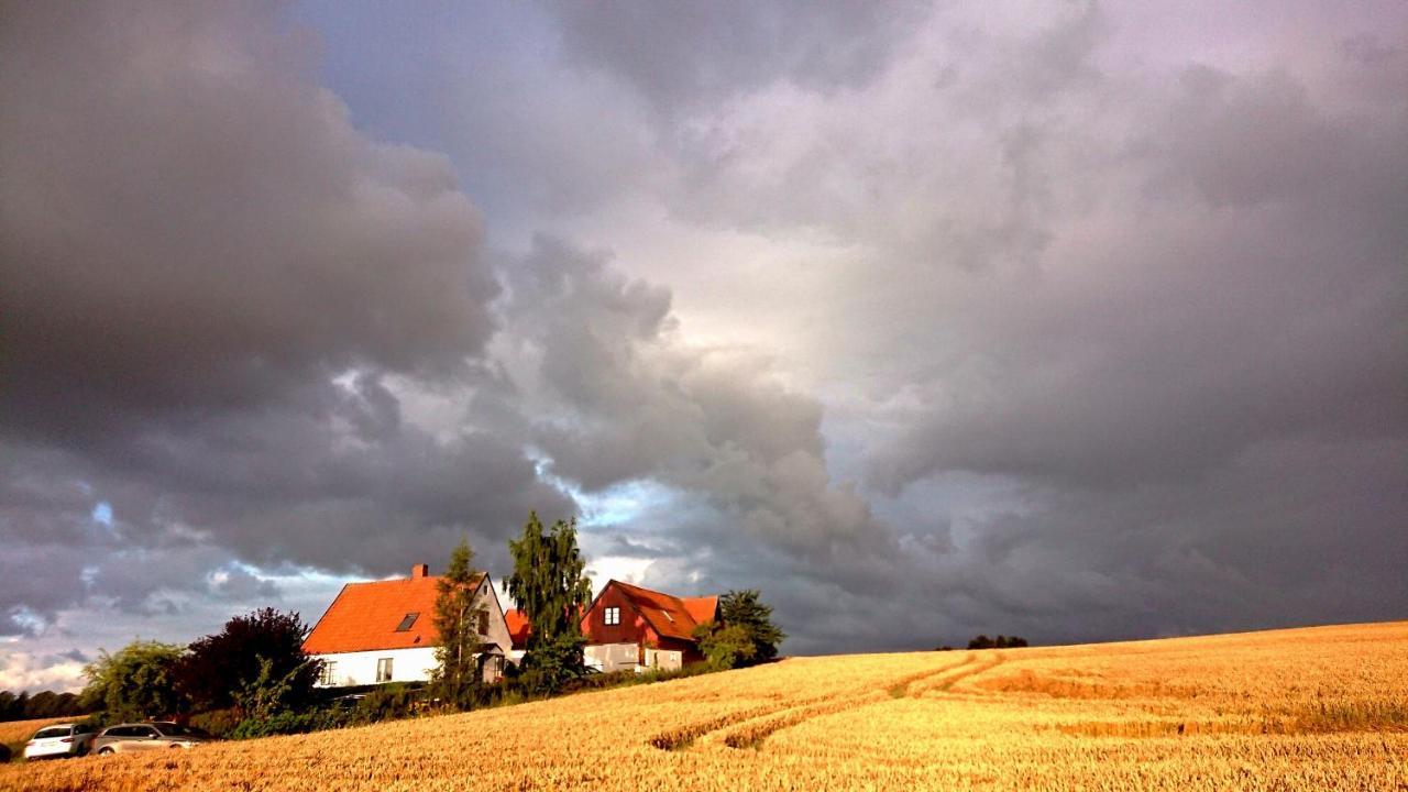 Garden Mellan Slotten Svarte Dış mekan fotoğraf