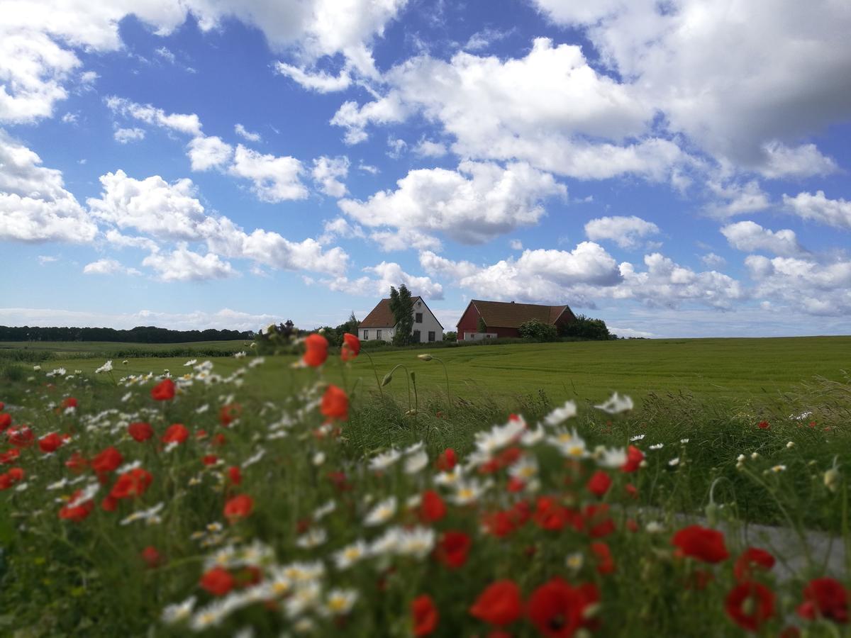 Garden Mellan Slotten Svarte Dış mekan fotoğraf