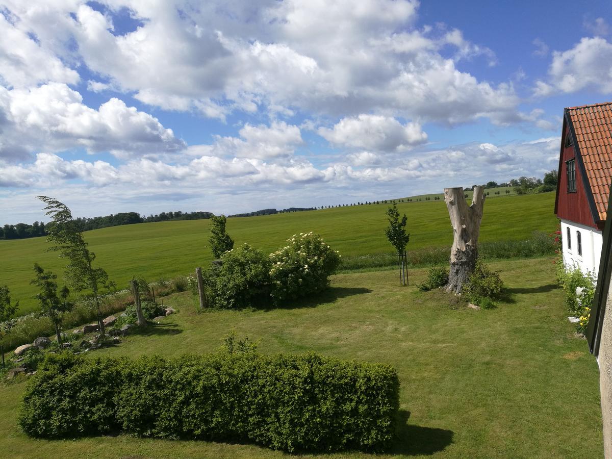 Garden Mellan Slotten Svarte Dış mekan fotoğraf