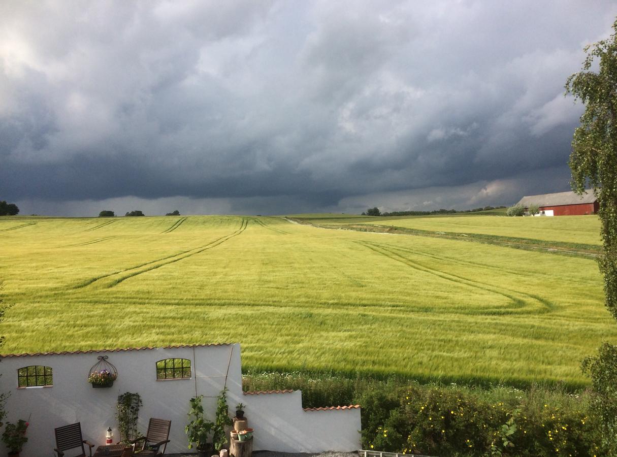 Garden Mellan Slotten Svarte Dış mekan fotoğraf