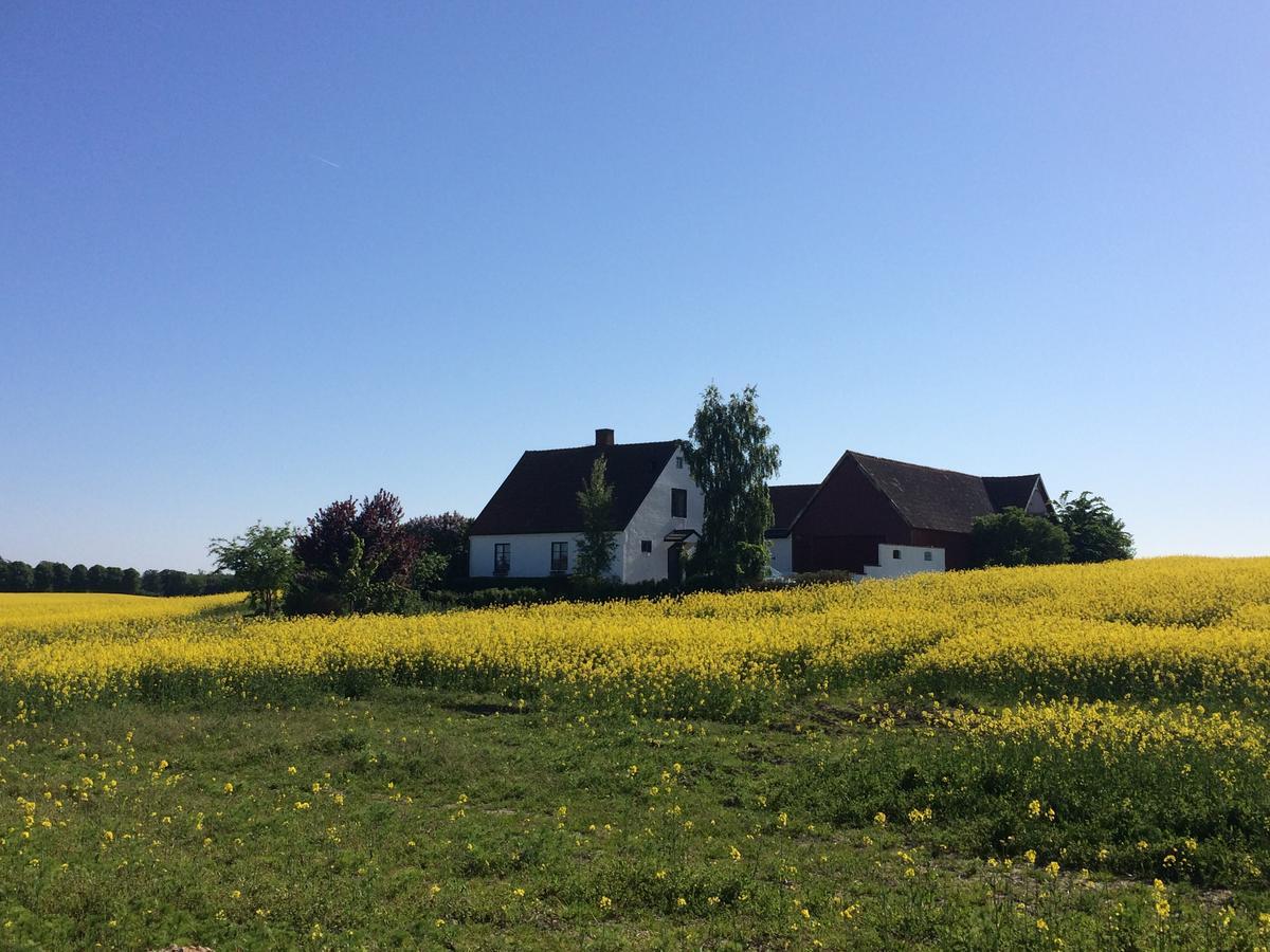 Garden Mellan Slotten Svarte Dış mekan fotoğraf
