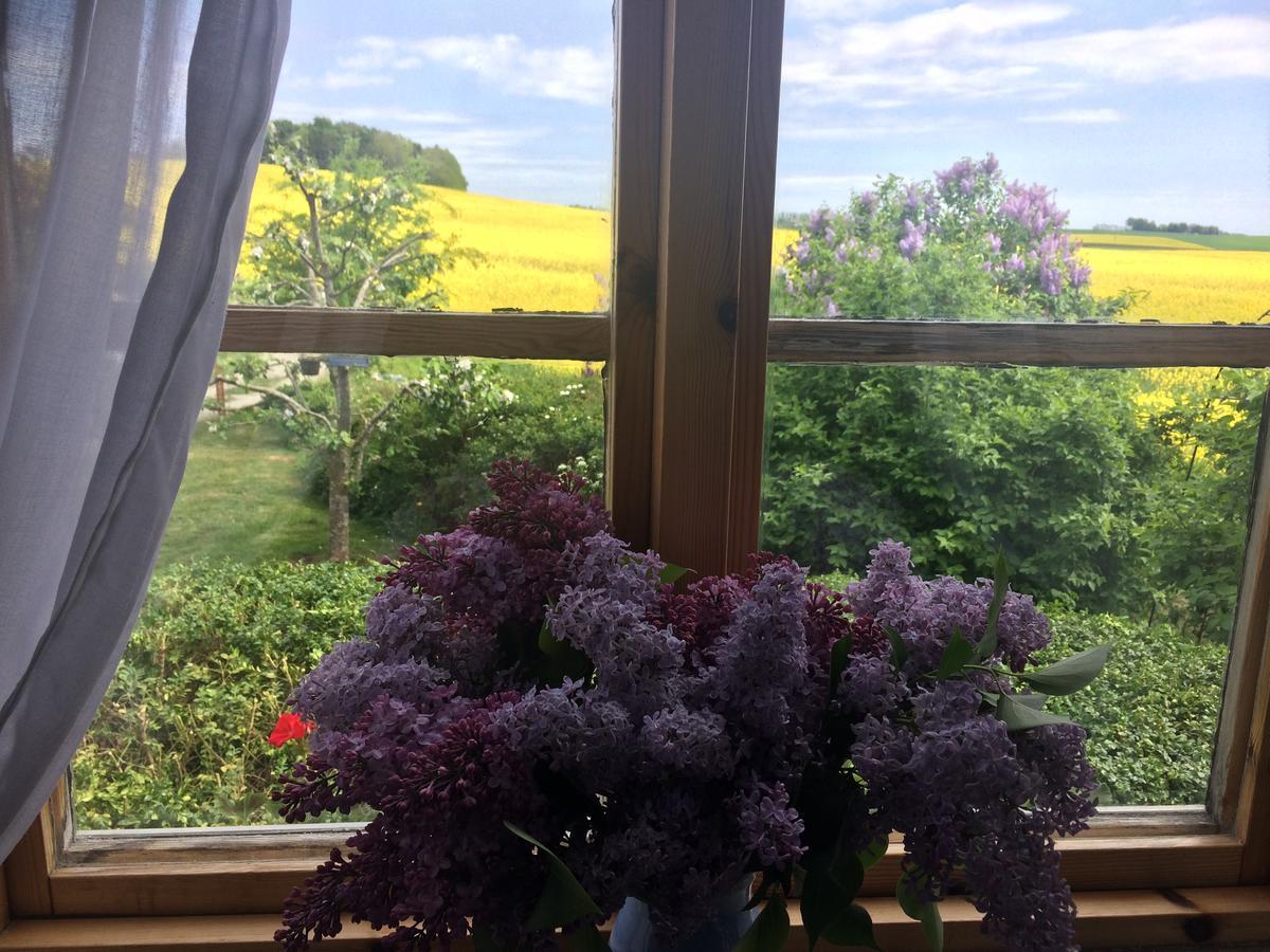 Garden Mellan Slotten Svarte Dış mekan fotoğraf