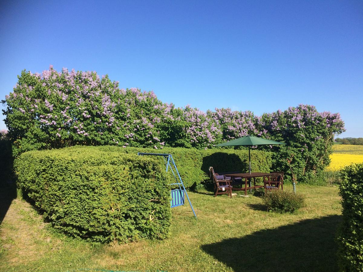 Garden Mellan Slotten Svarte Dış mekan fotoğraf