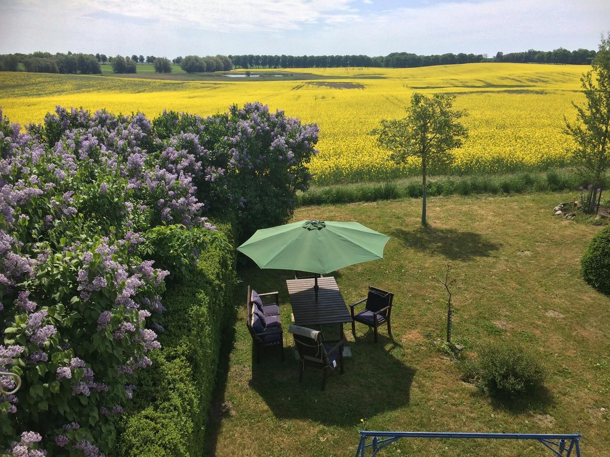 Garden Mellan Slotten Svarte Dış mekan fotoğraf