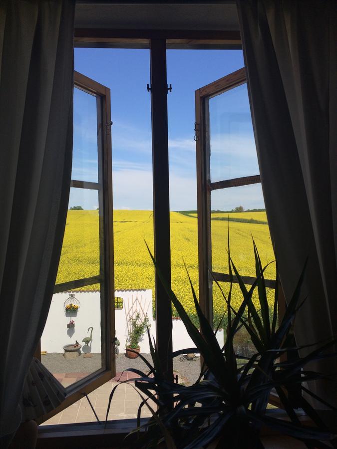 Garden Mellan Slotten Svarte Dış mekan fotoğraf