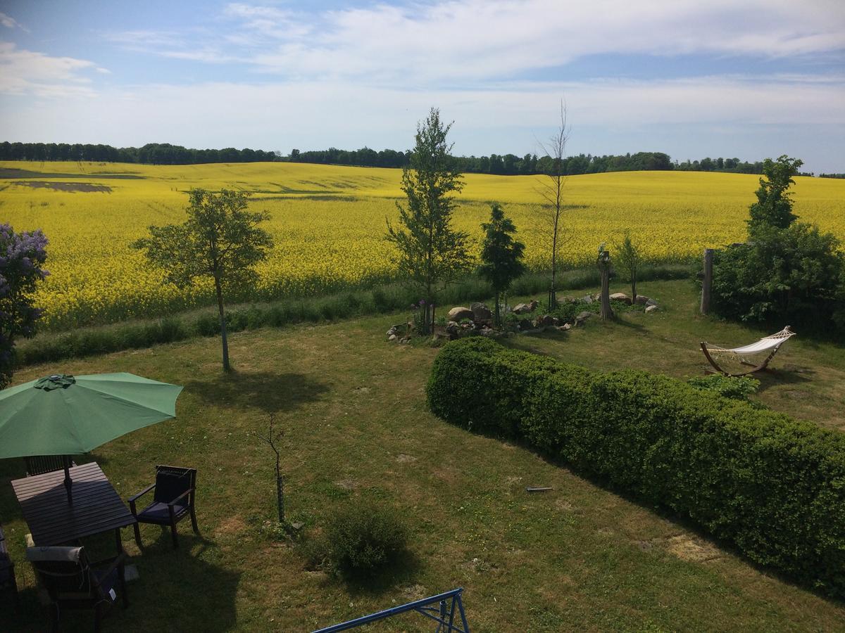 Garden Mellan Slotten Svarte Dış mekan fotoğraf