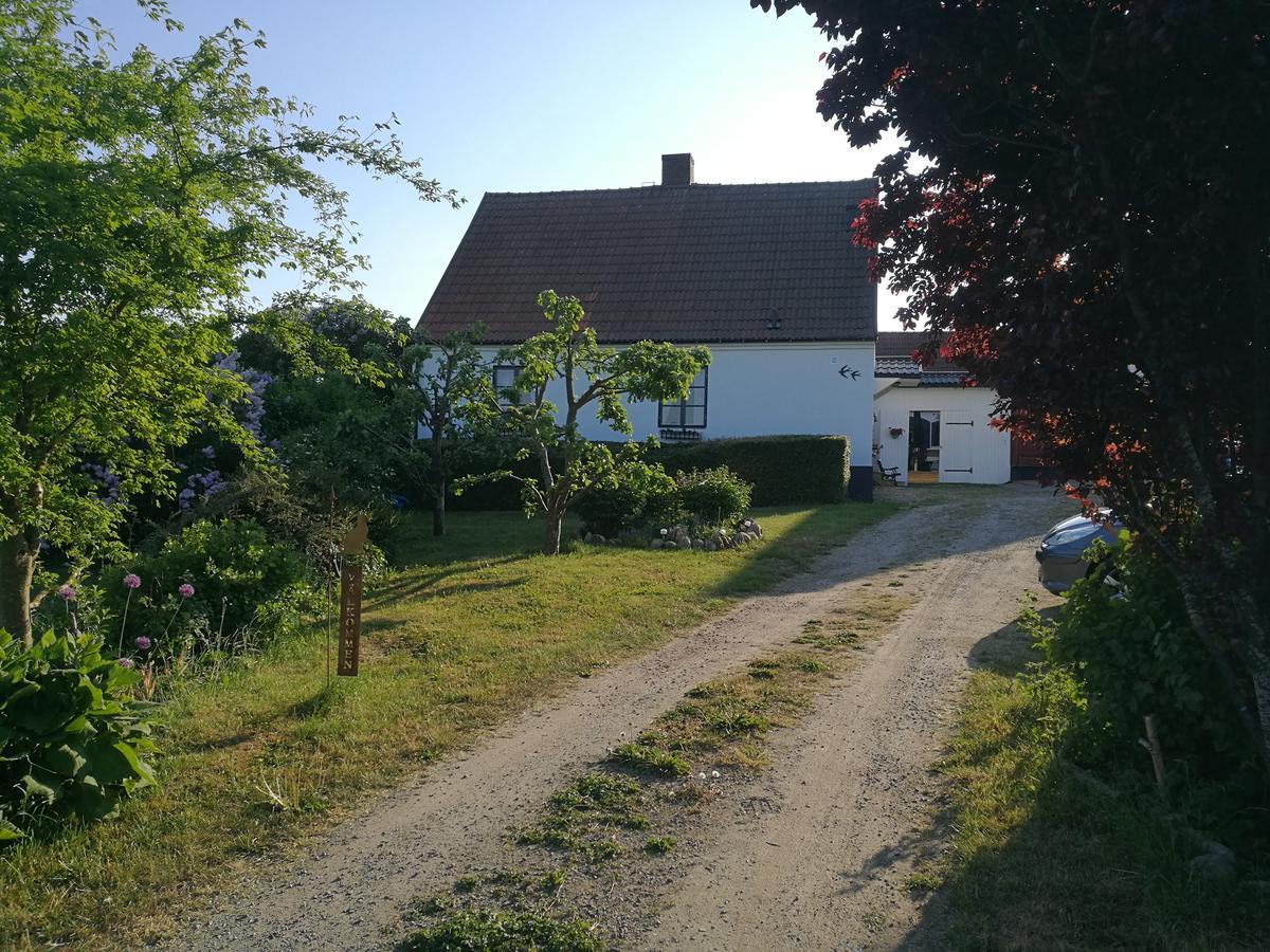 Garden Mellan Slotten Svarte Dış mekan fotoğraf