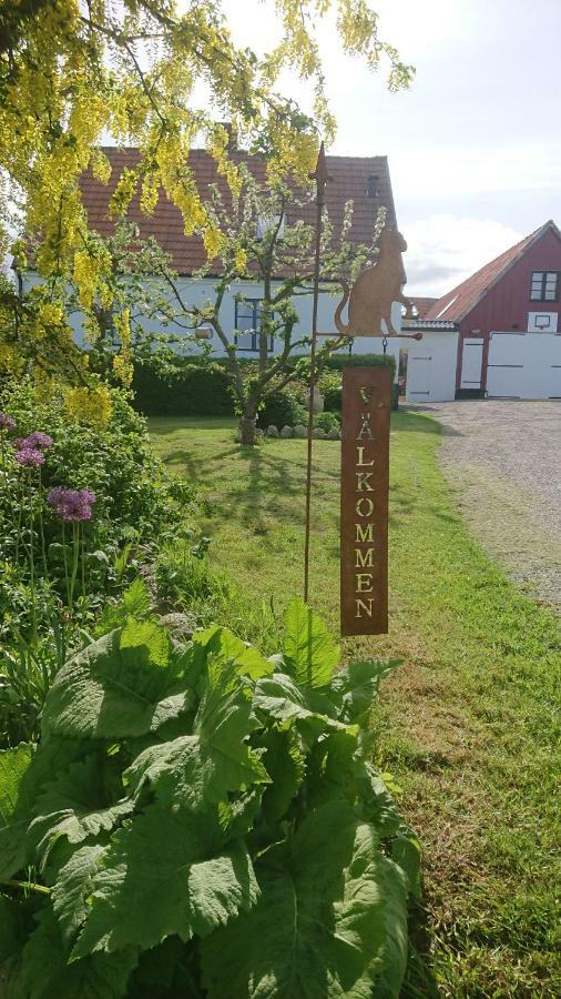 Garden Mellan Slotten Svarte Dış mekan fotoğraf