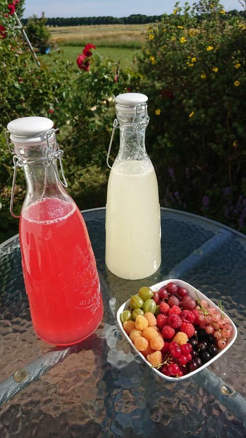 Garden Mellan Slotten Svarte Dış mekan fotoğraf